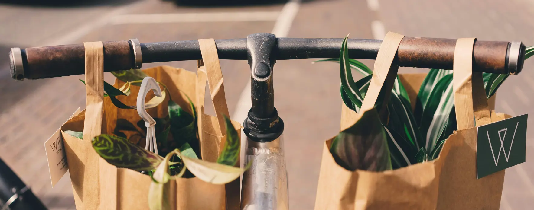 Grocery Shopping in the Netherlands