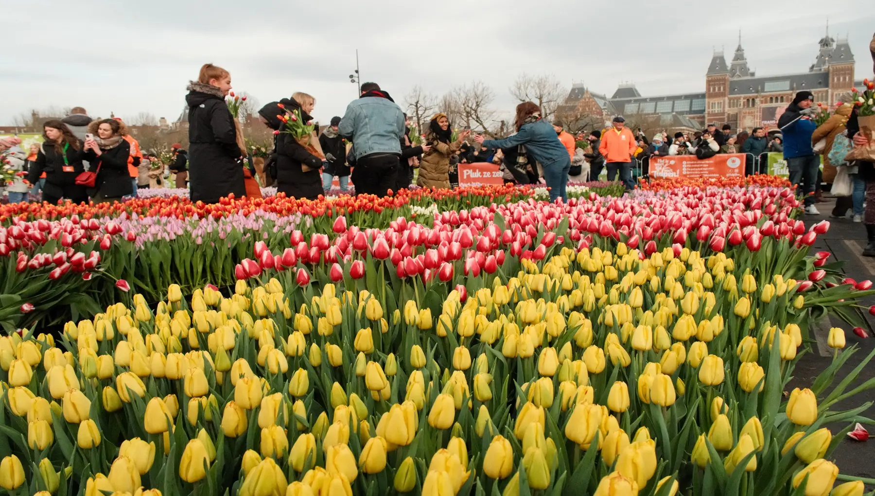 Tulpendag Museumplein 03 1800X1020